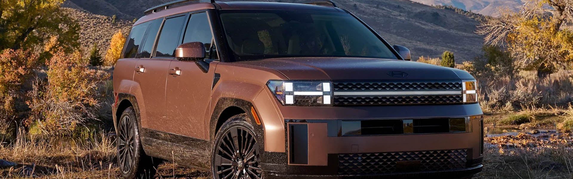 A Hyundai Santa Fe parked on a scenic road, showcasing its sleek design and rugged features.